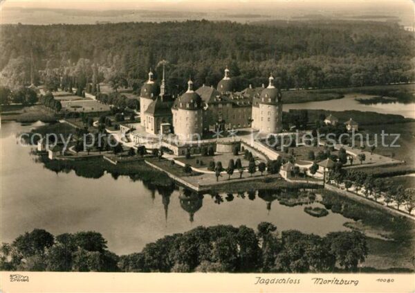 Foto Hahn Nr. 10080 Jagdschloss Moritzburg