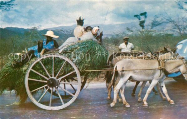 Jamaica Jamaica Homeward bound