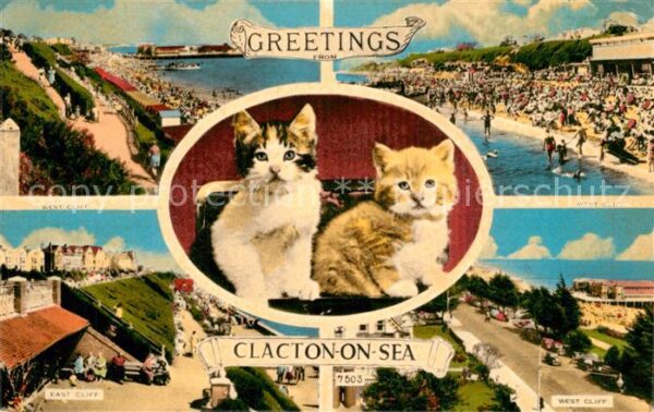 Clacton-on-Sea Panorama Cliffs Beach Cats