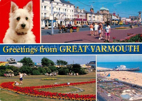 Yarmouth Dog Royal Hotel Street Scene Park Beach