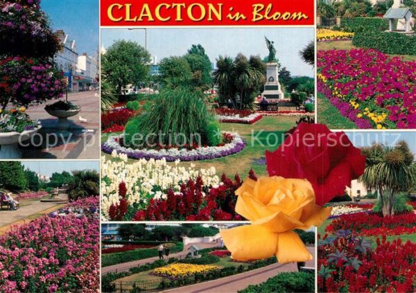 Clacton-on-Sea in bloom Park Flowers