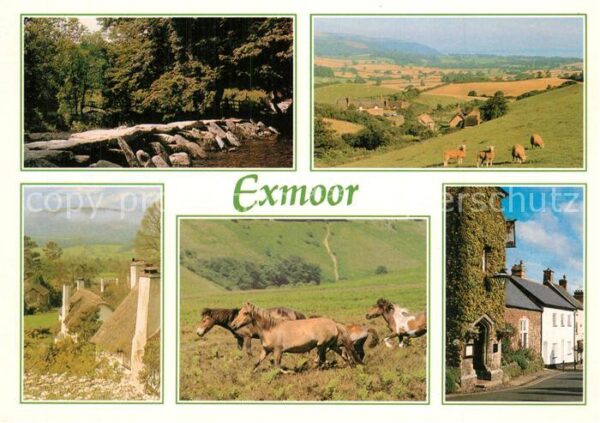 Exmoor Dorfmotiv Landschaftspanorama Pferde