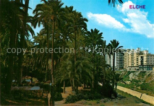 Elche Parque Municipal Hort de baix