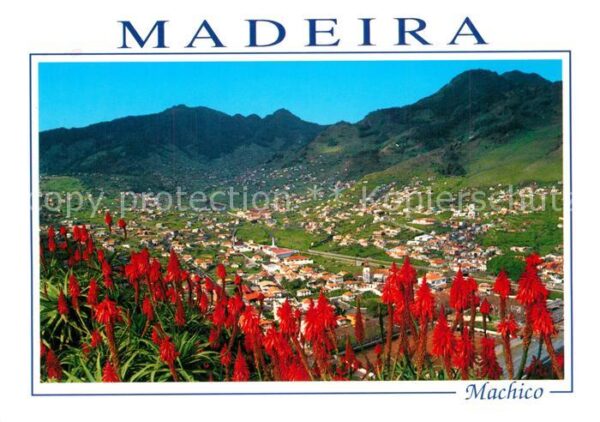 Machico Centro piscatorio