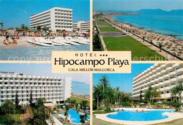 Cala Millor Mallorca Hotel Hipocamp Playa