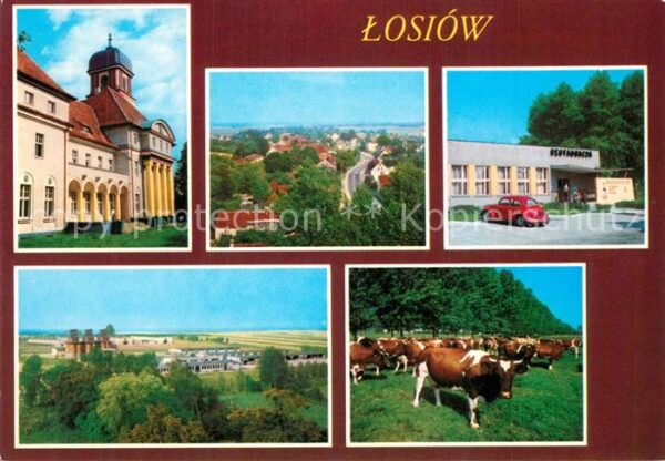 Losiow Lossen