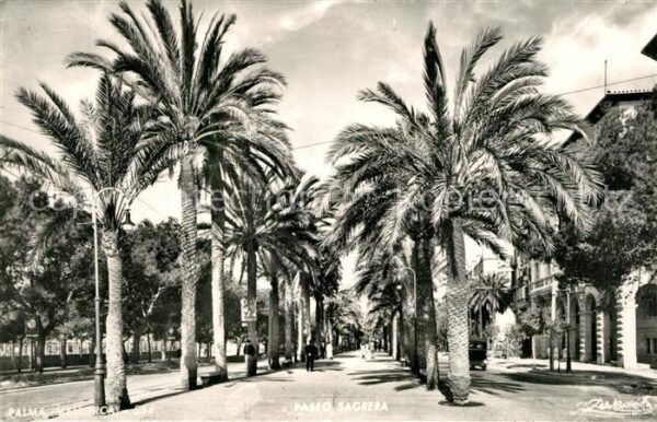 Palma de Mallorca Paseo Sagrera