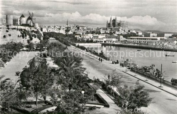 Palma de Mallorca Vista desde Paseo Maritimo
