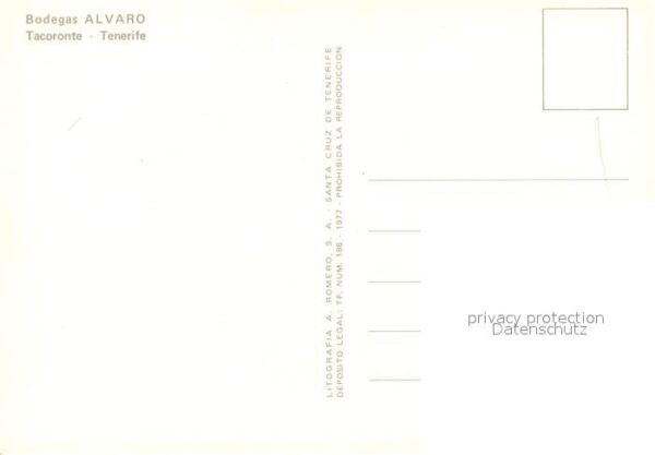 Tacoronte Bodegas Alvaro Details – Bild 2