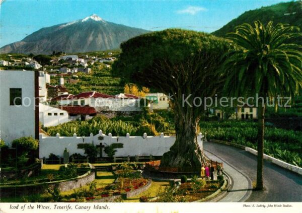 Tenerife Icod of the Wines