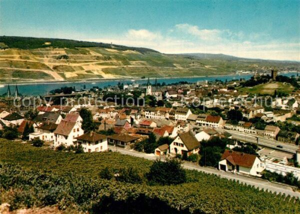 Bingen Rhein Panorama