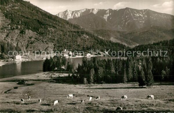 Spitzingsee Panorama Blick gegen Sonnwendjoch Mangf