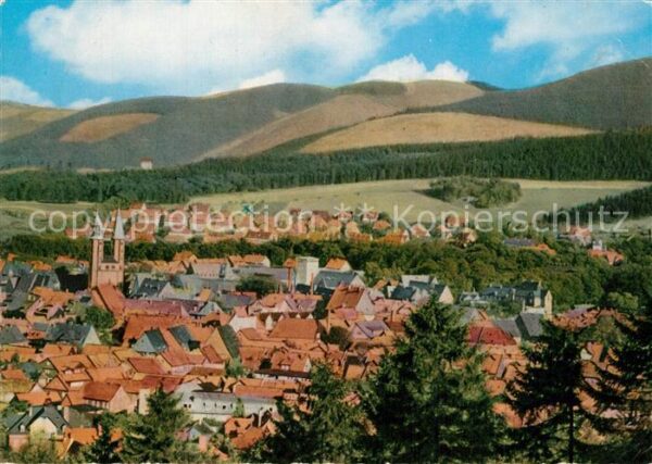 Goslar Panorama
