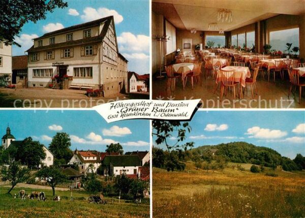 Neunkirchen Odenwald Höhengasthof Pension Grüner Baum Gastra
