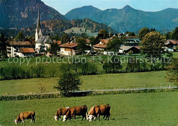 Bayrischzell Blick über die Viehweiden zum Ort