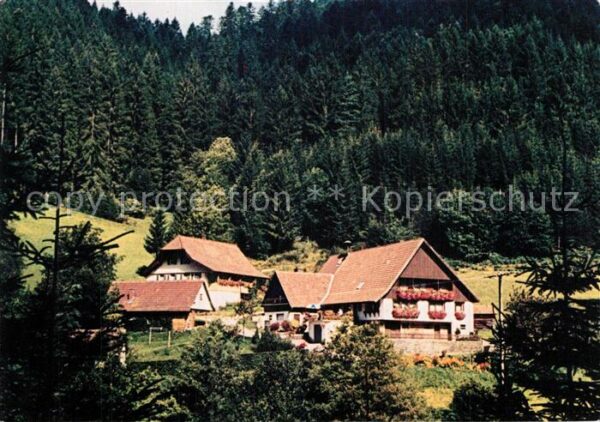 Schapbach Vogtshof Urlaub auf dem Bauernhof