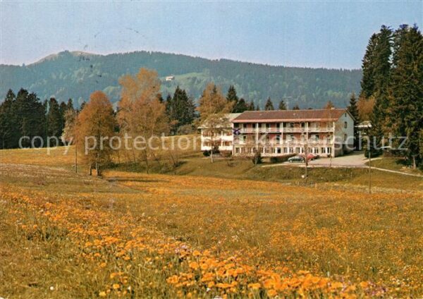 Scheffau Scheidegg Bergheim Blumenwiesen Allgäuer Alpen