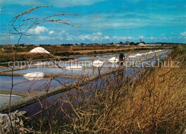 Ile de Noirmoutier Les Marais Salants
