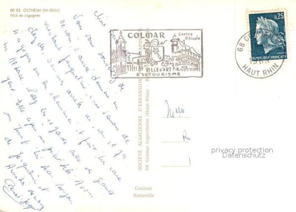 Ostheim Haut Rhin Elsass Nid de cigognes – Bild 2