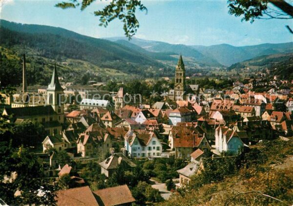 Munster Haut Rhin Elsass Vue Generale et les Vosges