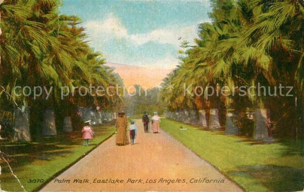 Los Angeles California Palm Walk Eastlake Park
