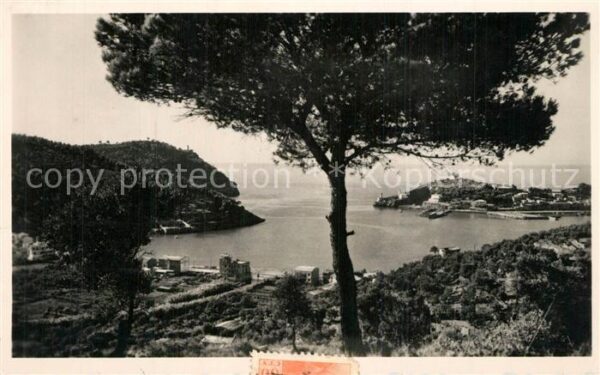 Soller Mallorca Puerto