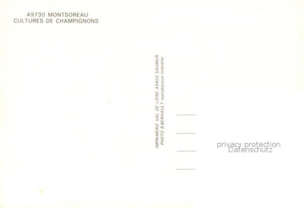 Montsoreau Cultures de Champignons – Bild 2