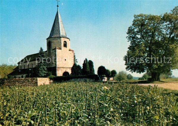 Avolsheim Dompeter La Plus Ancienne Eglise d_Alsa