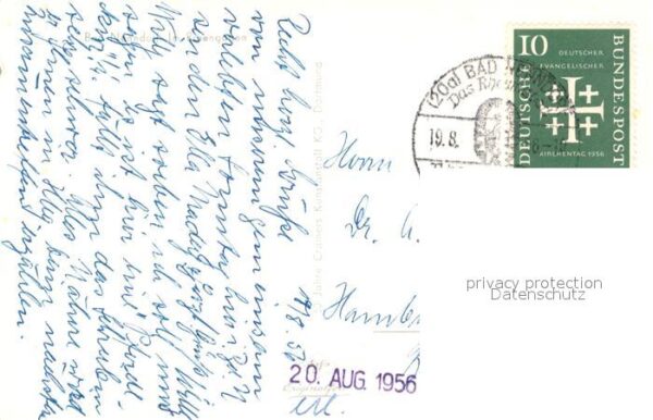 Bad Nenndorf Rosengarten – Bild 2