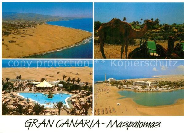 Maspalomas Fliegeraufnahme Strand Camel