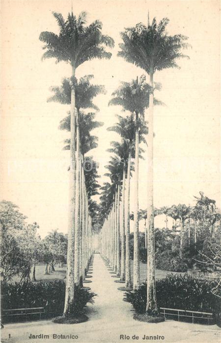 Rio de Janeiro Jardim Botanico