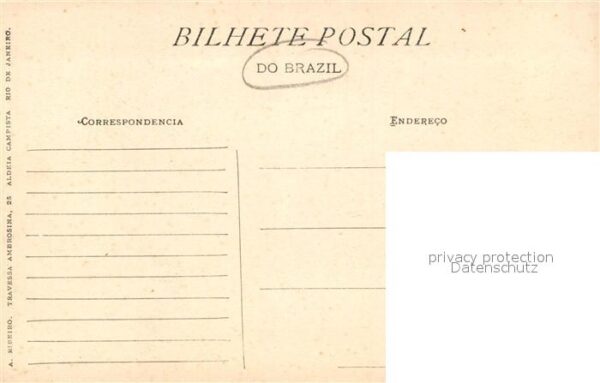 Rio de Janeiro Jardim Botanico – Bild 2