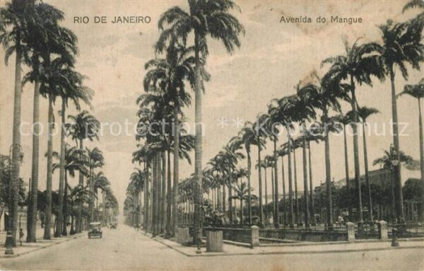 Rio de Janeiro Avenida do Mangue