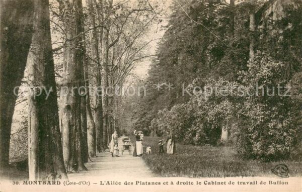 Montbard Allee des Platanes Cabinet de travali d