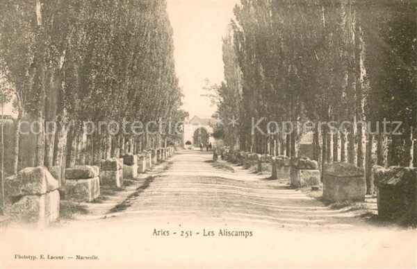 Arles Bouches-du-Rhone Les Aliscamps