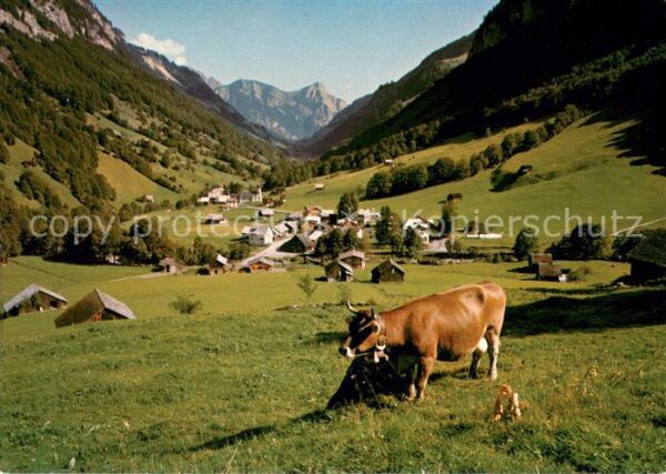 Weisstannen Landschaftspanorama Viehweide Almvieh A