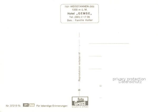 Weisstannen Hotel Gemse Alpen – Bild 2