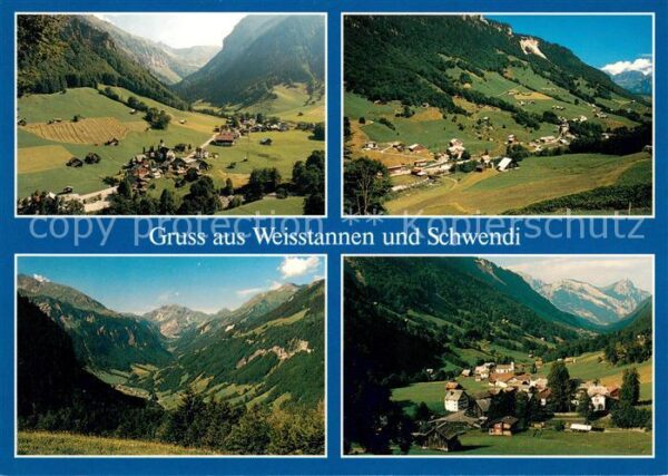 Weisstannen und Schwendi Landschaftspanorama Alpen
