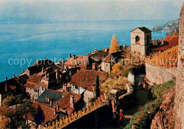 St Saphorin Lavaux Panorama Lac Leman Genfersee