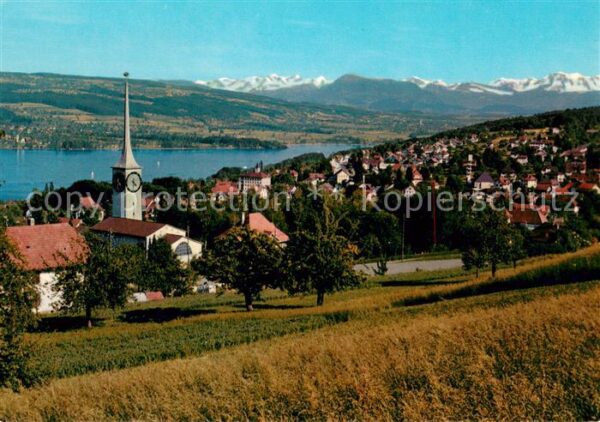 Beinwil See Panorama