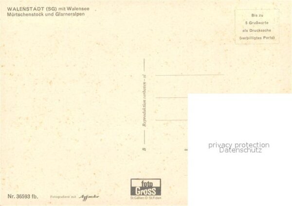 Walenstadt mit Walensee M?rtschenstock und Glarner – Bild 2