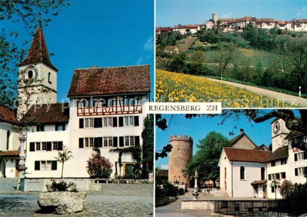 Regensberg Dielsdorf Kirche Schloss Turm Panorama