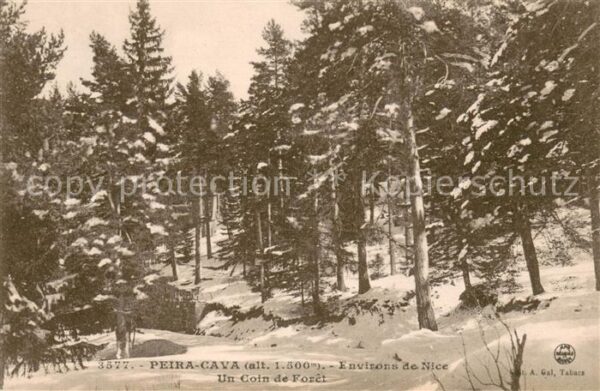 Peira-Cava Foret