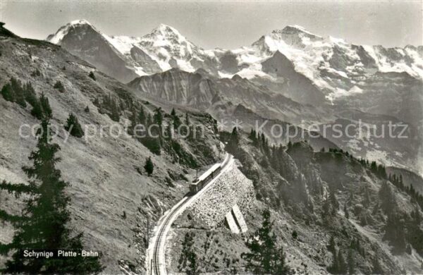 Berner Oberland Schynige Platte-Bahn