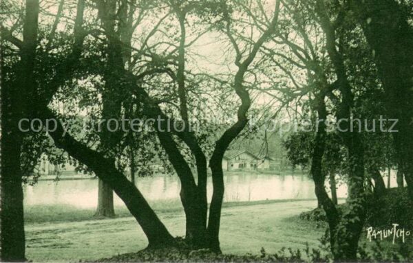 Cognac Charente Bords de la Charente