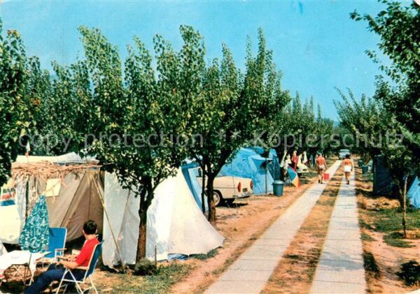 Mandelieu-la-Napoule Camping Les Pruniers La Pinède