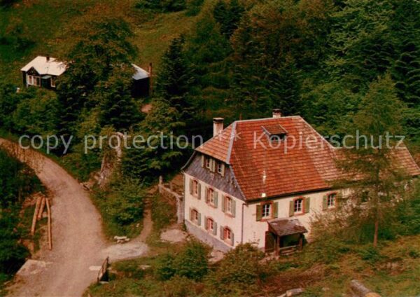 Sainte-Marie-aux-Mines Haut Rhin Le Zillhardthof Maison de vacances Châl