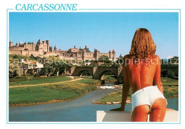 Carcassonne Vue sur la citée Badenixe