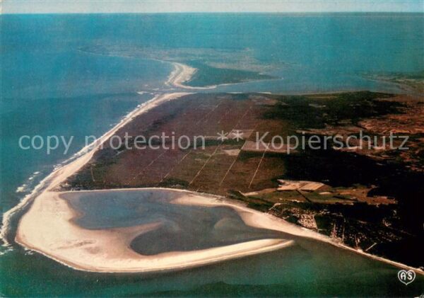 Les Mathes La Baie de Bonne Anse la foret de la Co