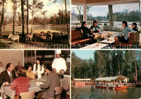 Saint-Vrain Essonne Restauran au parc Zèbres Lamas Flambage